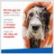 Show in main carousel: Adams Plus Flea & Tick Shampoo Sensitive Skin for Cats & Dogs, 1-gal bottle slide 4 of 14