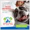 Show in main carousel: Adams Plus Flea & Tick Shampoo Sensitive Skin for Cats & Dogs, 1-gal bottle slide 5 of 14