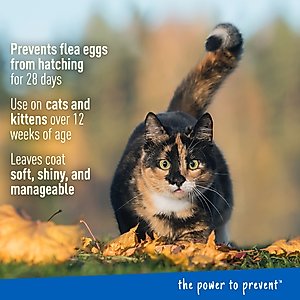 Adams Plus Sensitive Skin Formula Flea & Tick Foaming Cat Shampoo, 10-fl oz bottle