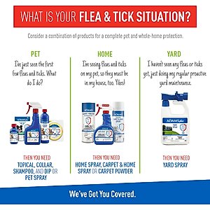 Adams Plus Sensitive Skin Formula Flea & Tick Foaming Cat Shampoo, 10-fl oz bottle