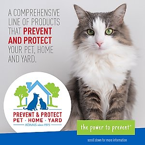 Adams Plus Sensitive Skin Formula Flea & Tick Foaming Cat Shampoo, 10-fl oz bottle
