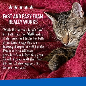 Adams Plus Sensitive Skin Formula Flea & Tick Foaming Cat Shampoo, 10-fl oz bottle