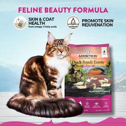 Addiction Grain-Free Duck Royale Skin & Coat Health Dry Cat Food, 4-lb bag slide 2 of 8