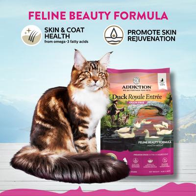 Show full view: Addiction Grain-Free Duck Royale Skin & Coat Health Dry Cat Food, 4-lb bag slide 3 of 9