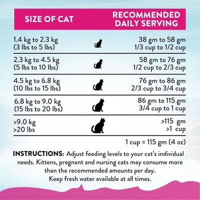 Show full view: Addiction Grain-Free Duck Royale Skin & Coat Health Dry Cat Food, 4-lb bag slide 8 of 9