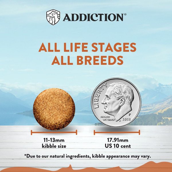 Show full view: Addiction Grain-Free Wild Kangaroo & Apples Limited Ingredient Allergy-Friendly Dry Dog Food, 4-lb bag, bundle of 4 slide 6 of 11