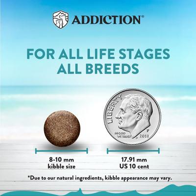 Show full view: Addiction Grain-Free Salmon Bleu Skin & Coat Health Dry Cat Food, 4-lb bag slide 4 of 10