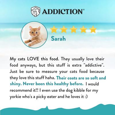 Show full view: Addiction Grain-Free Salmon Bleu Skin & Coat Health Dry Cat Food, 4-lb bag slide 5 of 10