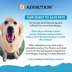 Addiction Grain-Free Salmon Bleu Skin & Coat Health Dry Dog Food, 20-lb bag slide 2 of 9