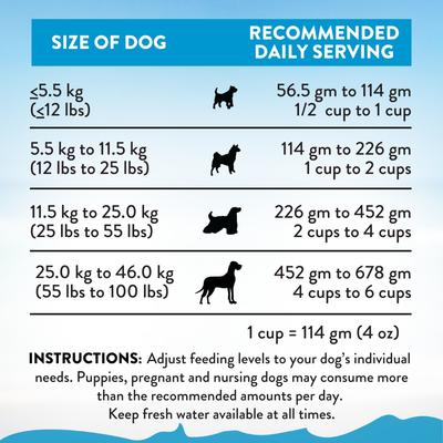 Show full view: Addiction Grain-Free Salmon Bleu Skin & Coat Health Dry Dog Food, 20-lb bag slide 8 of 11