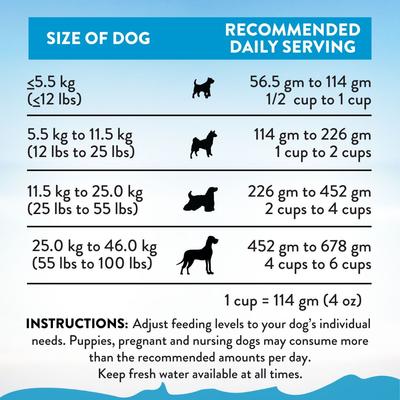 Show full view: Addiction Grain-Free Salmon Bleu Skin & Coat Health Dry Dog Food, 4-lb bag slide 8 of 10