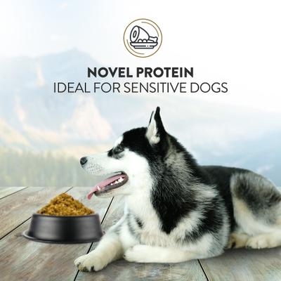 Show full view: Addiction Grain-Free Outback Kangaroo Feast Limited Ingredient Allergy-Friendly Air-dried Dog Food, 2-lb box slide 6 of 12