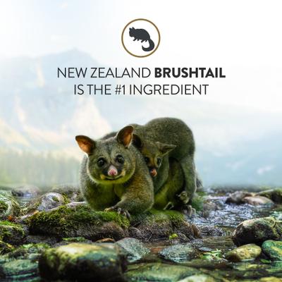 Show full view: Addiction Perfect Summer Brushtail Raw Dehydrated Dog Food, 2-lb box slide 5 of 12