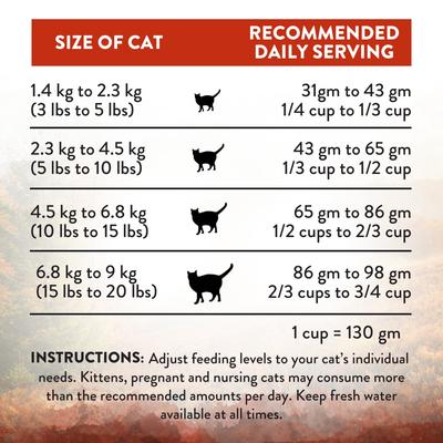 Show full view: Addiction Premium Wild Islands Forest Meat Recipe Grain-Free & High-Protein Dry Cat Food, 4-lb bag slide 7 of 10