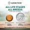 Show in main carousel: Addiction Premium Wild Islands Island Birds Adult Grain-Free & High-Protein Poultry Dry Dog Food, 4-lb bag slide 4 of 11
