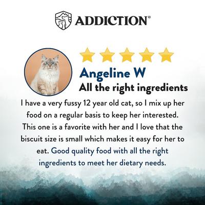 Show full view: Addiction Premium Wild Islands Pacific Catch Seafood & Fish Grain-Free & High-Protein Dry Cat Food, 10-lb bag slide 5 of 11