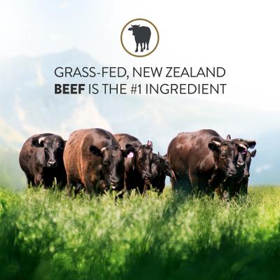 Show full view: Addiction Steakhouse Beef & Zucchini Entree Raw Dehydrated Dog Food, 2-lb box slide 5 of 12