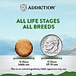 Show in main carousel: Addiction Zen Vegetarian Plant Based Skin & Coat Health Dry Dog Food, 20-lb bag slide 4 of 10