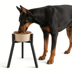 ADENGL Adjustable Width Metal Elevated Dog Bowl Stand, Black, X-Large