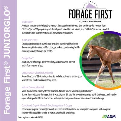 Show full view: ADM Forage First JuniorGlo Horse Feed, 50-lb bag slide 8 of 9