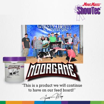 Show full view: ADM MoorMan's ShowTec MoorGame Swine, Goat, Sheep, & Cattle Powder Supplement, 18-lb pail slide 9 of 9