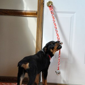 Advance Pet Potty Train Dog Bell, Brown