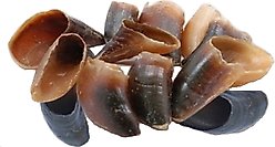 Advance Pet Product Water Buffalo Hooves Dog Natural Chew Treats, 12 count