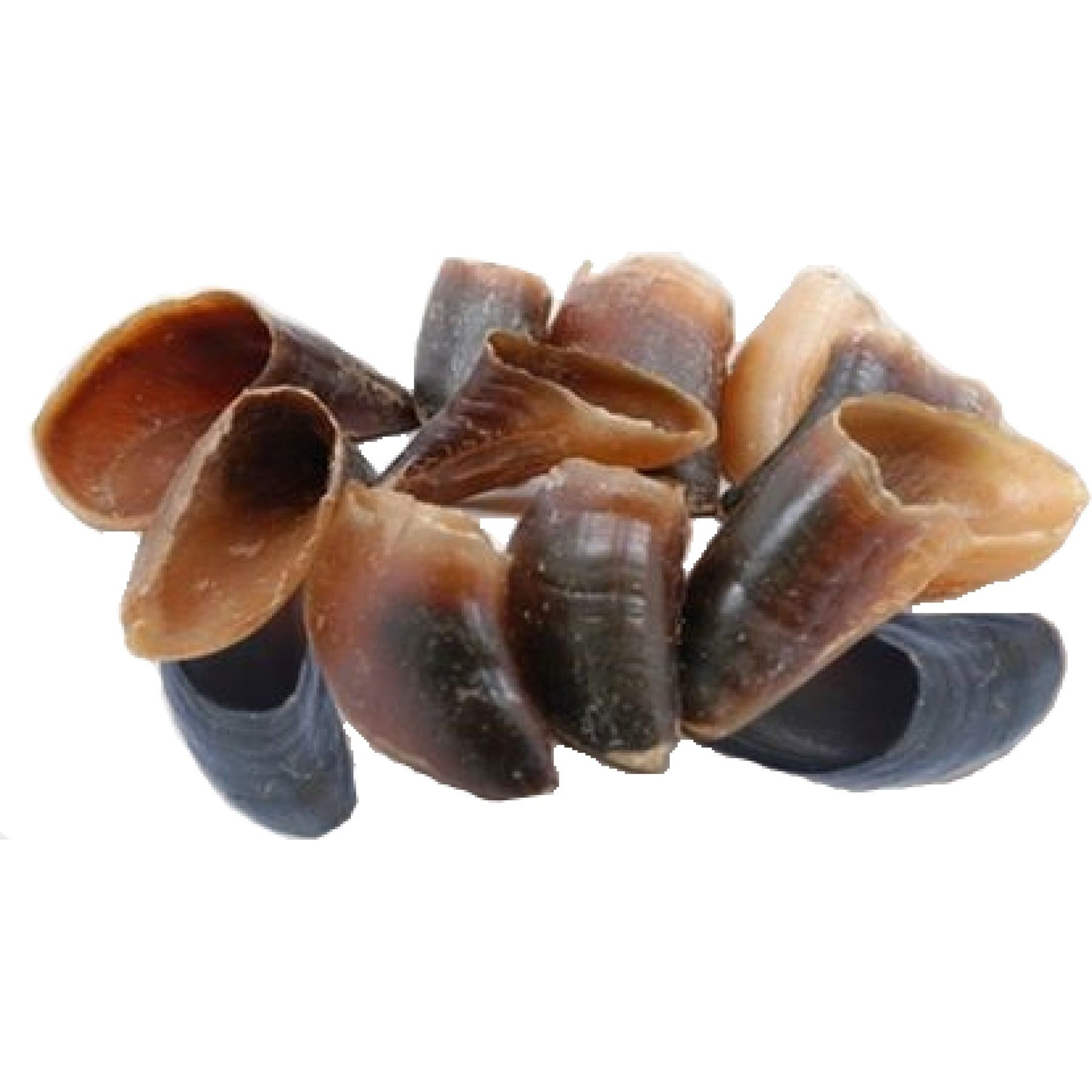 Advance Pet Product Water Buffalo Hooves Dog Natural Chew Treats, 12 count