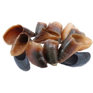 Advance Pet Product Water Buffalo Hooves Dog Natural Chew Treats, 12 count