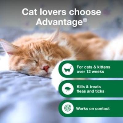 Show full view: Advantage Flea & Tick Treatment Shampoo for Cats & Kittens, 8-fl oz bottle slide 3 of 10