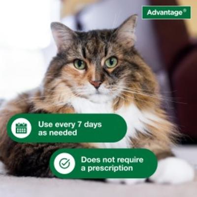 Show full view: Advantage Flea & Tick Treatment Shampoo for Cats & Kittens, 8-fl oz bottle slide 4 of 10