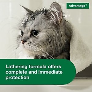Advantage Flea & Tick Treatment Shampoo for Cats & Kittens, 8-fl oz bottle