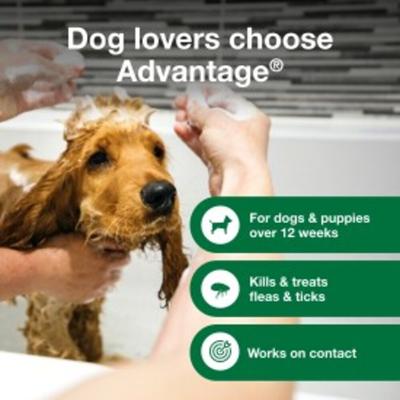 Show full view: Advantage Flea & Tick Treatment Shampoo for Dogs & Puppies, 8-fl oz bottle slide 3 of 7