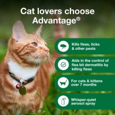 Show full view: Advantage Flea Treatment Spray for Cats, 8-fl oz bottle slide 3 of 10