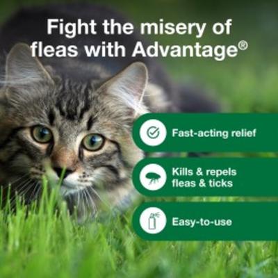 Show full view: Advantage Flea Treatment Spray for Cats, 8-fl oz bottle slide 7 of 10