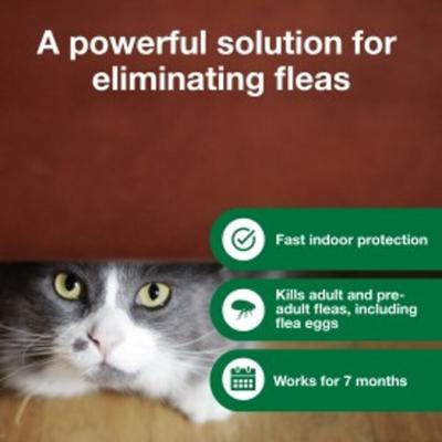 Show full view: Advantage Household Fogger, 3-pack slide 3 of 9