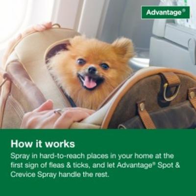 Show full view: Advantage Household Spot & Crevice Spray, 24-fl oz spray slide 7 of 8