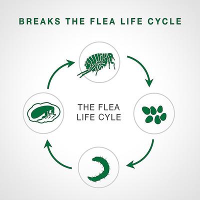 Show full view: Advantage II Flea Spot Treatment, 5-9 lbs + Elanco Tapeworm Cat De-Wormer slide 4 of 9