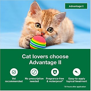 Advantage II Flea Spot Treatment for Cats, 2-5 lbs, 2 Doses (2-mos. supply) slide 3 of 8