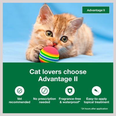 Show full view: Advantage II Flea Spot Treatment for Cats, 2-5 lbs, 2 Doses (2-mos. supply) slide 3 of 10