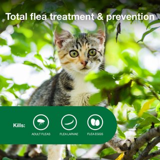 Advantage II Flea Spot Treatment for Cats, 2-5 lbs, 2 Doses (2-mos. supply) slide 4 of 8