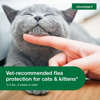 Advantage II Flea Spot Treatment for Cats, 2-5 lbs, 2 Doses (2-mos. supply) slide 5 of 8