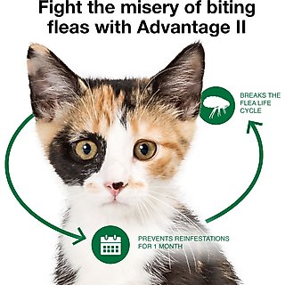 Advantage II Flea Spot Treatment for Cats, 2-5 lbs, 2 Doses (2-mos. supply) slide 7 of 8