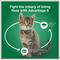Show in main carousel: Advantage II Flea Spot Treatment for Cats, 5-9 lbs, 2 Doses (2-mos. supply) slide 7 of 10