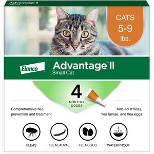 Advantage II Flea Spot Treatment for Cats, 5-9 lbs, 4 Doses (4-mos. supply)