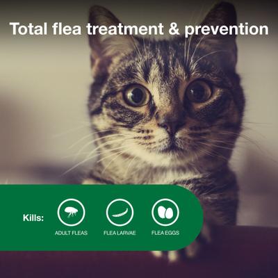 Show full view: Advantage II Flea Spot Treatment for Cats, 5-9 lbs, 4 Doses (4-mos. supply) slide 4 of 11