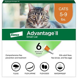 Advantage II Flea Spot Treatment for Cats, 5-9 lbs, 6 Doses (6-mos. supply) slide 1 of 8