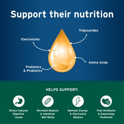 Show full view: Advantage II Flea Spot Treatment for Cats, 5-9 lbs, & Ferrets, 2 Doses (2-mos. supply) + Pet Protect Endurosyn Probiotic Balance + Chicken & Fish Flavored Oral Gel for Cats, 15-g syringe slide 8 of 9
