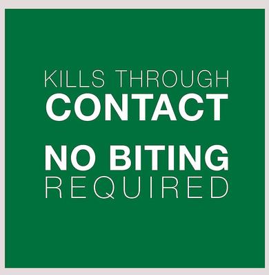 Show full view: Advantage II Flea Spot Treatment for Cats, 5-9 lbs, & Ferrets + Household Spot & Crevice Spray slide 5 of 10