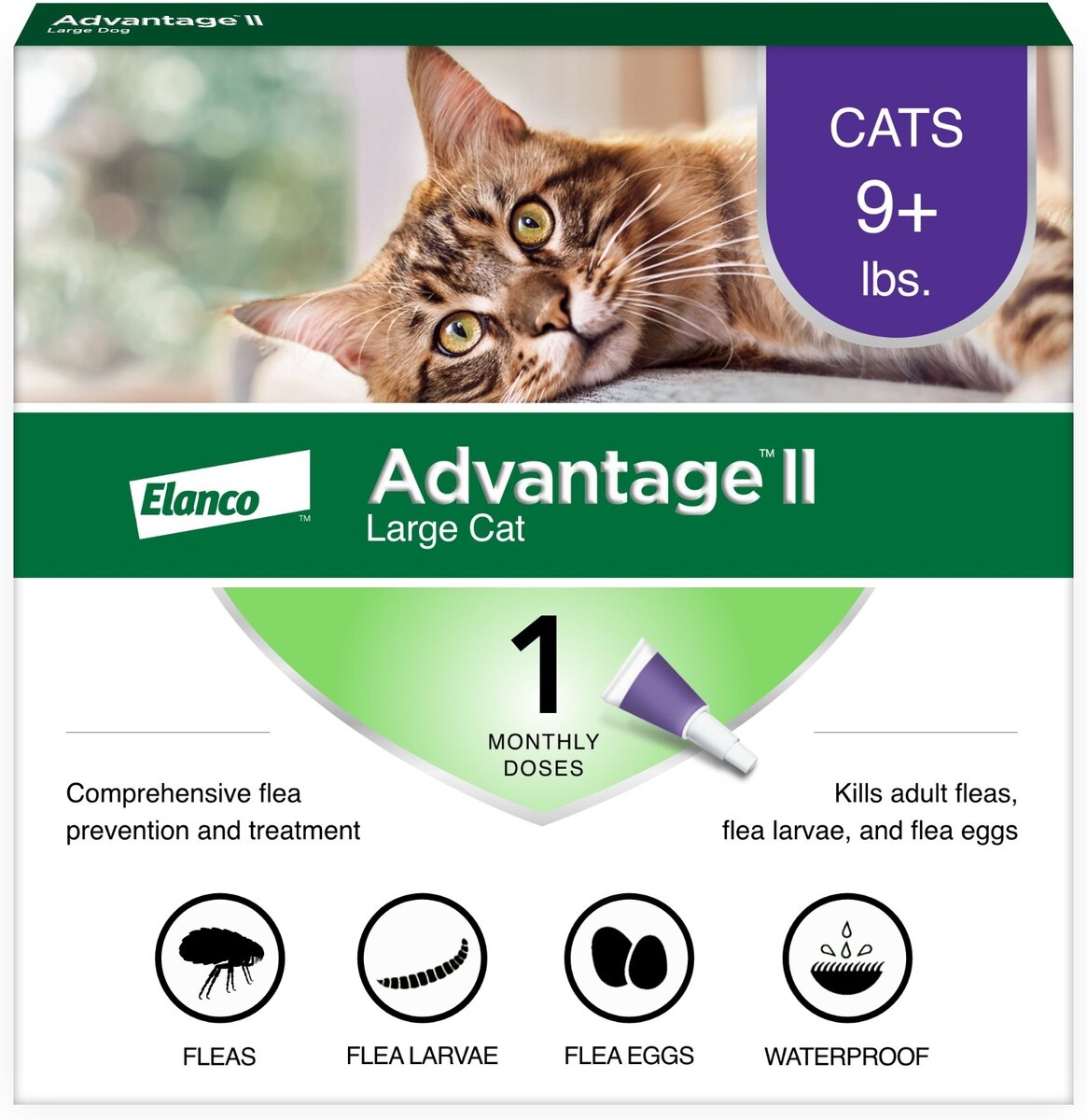 Advantage II Flea Treatment for Large Cats Over lbs (Free